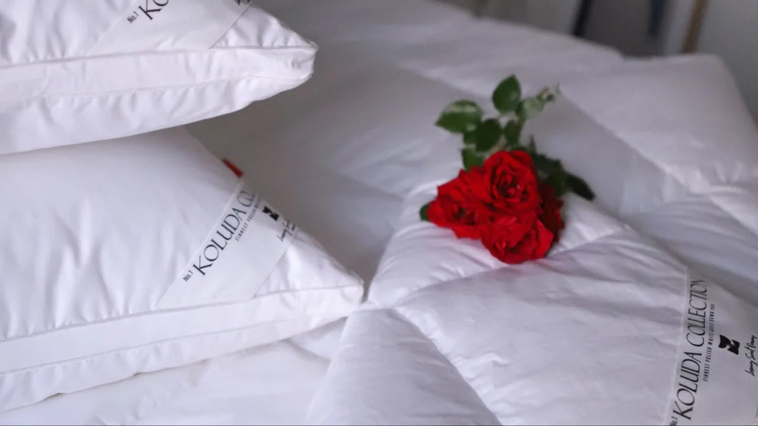 Žąsų ar Ančių pūkai: kas geriau?