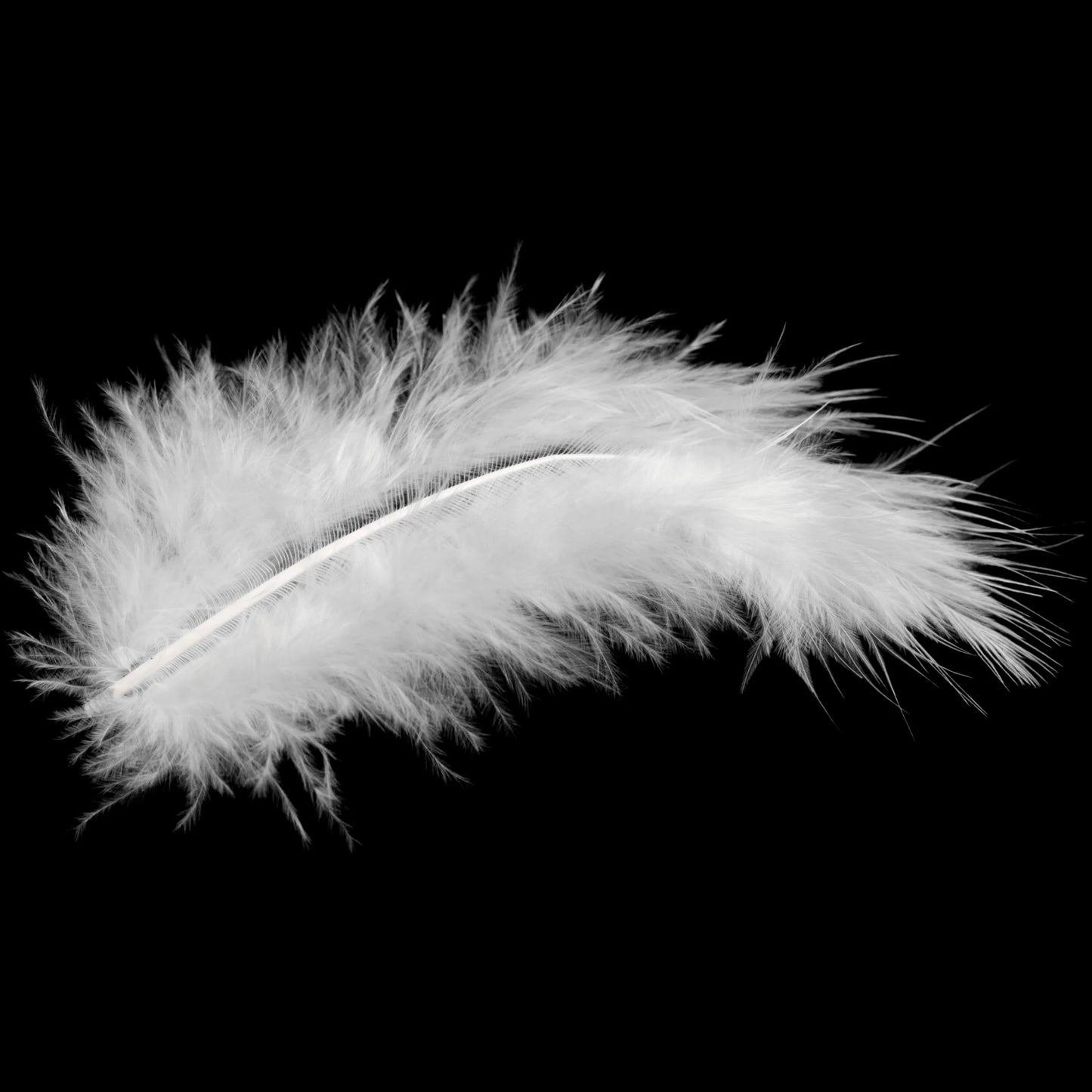 PREMIUM Žąsų Pūkais Užpildyta Pagalvė I