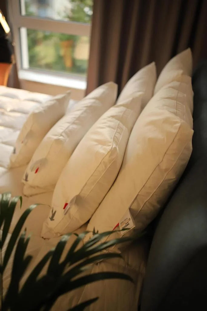 PREMIUM Žąsų Pūkais Užpildyta Pagalvė I