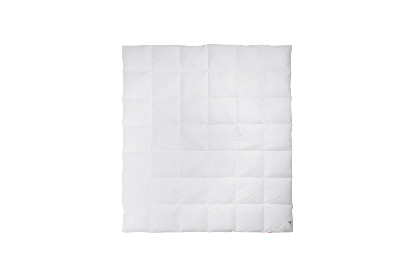 PREMIUM antklodė, žąsų pūkai 800 (DAUGIASEZONINĖ)