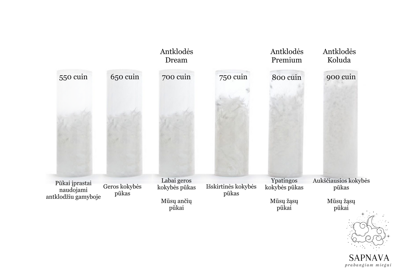 DREAM antklodė, žąsų pūkai 700 (ŽIEMINĖ)
