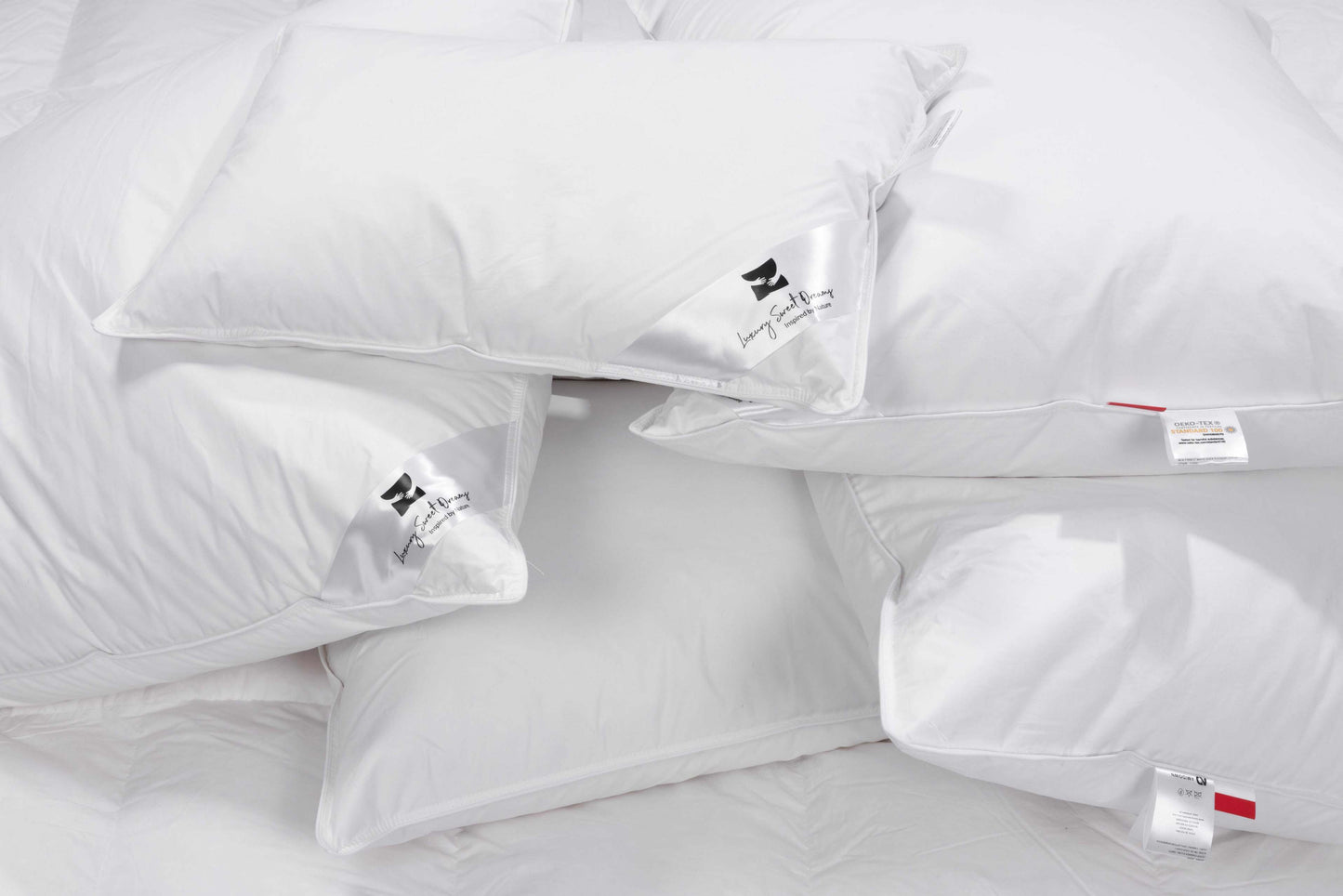 DREAM kolekcijos pagalvė su 15% ančių pūkų užpildu